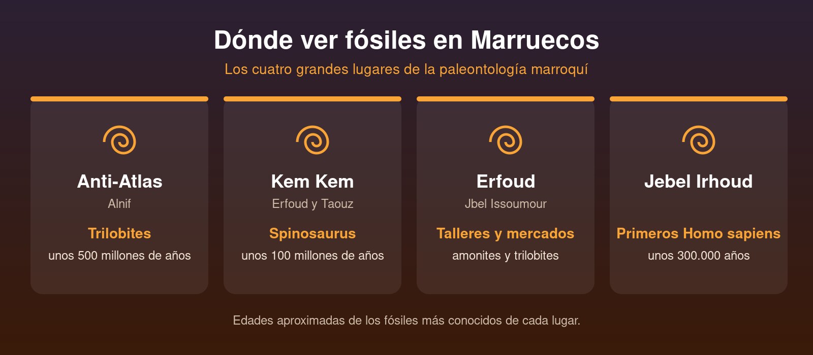 Fósiles en Marruecos: el Anti-Atlas, los lechos de Kem Kem, Erfoud y Jebel Irhoud