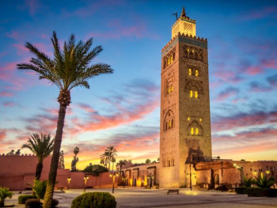 Koutoubia Mosque surrounded by palm trees in Marrakech, Morocco