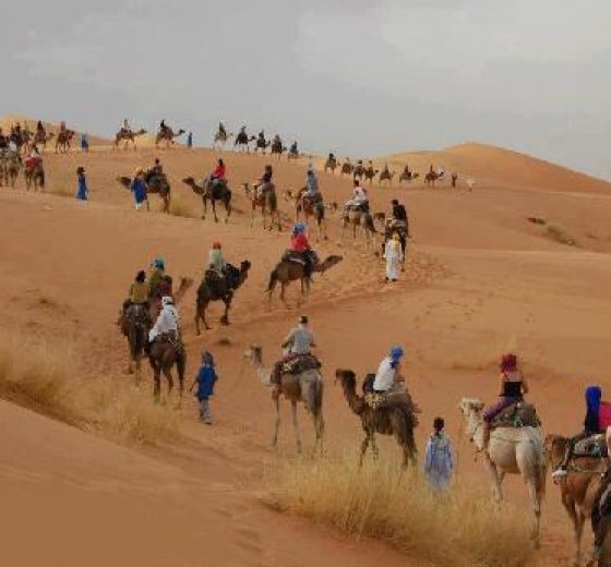 Paseo en camello al atardecer en el desierto del Sahara