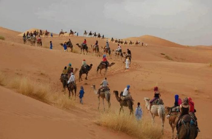 Camel trek in the Sahara desert, Morocco