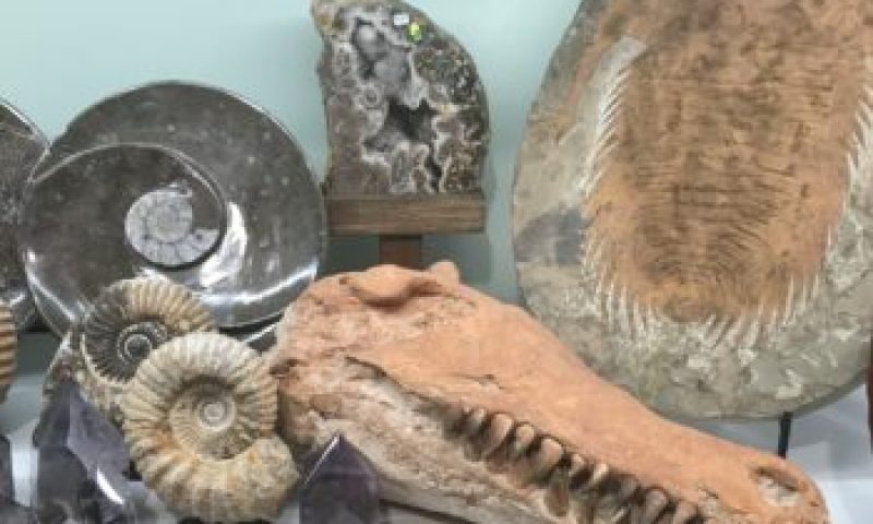 Morocco Fossils And Minerals Tour | Travels Morocco