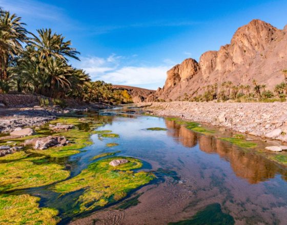 The Fint Oasis near Ouarzazate, Morocco