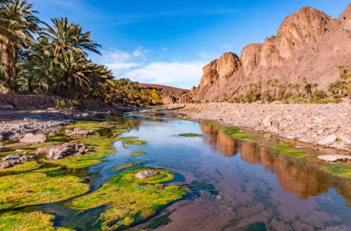 The Fint Oasis near Ouarzazate, Morocco