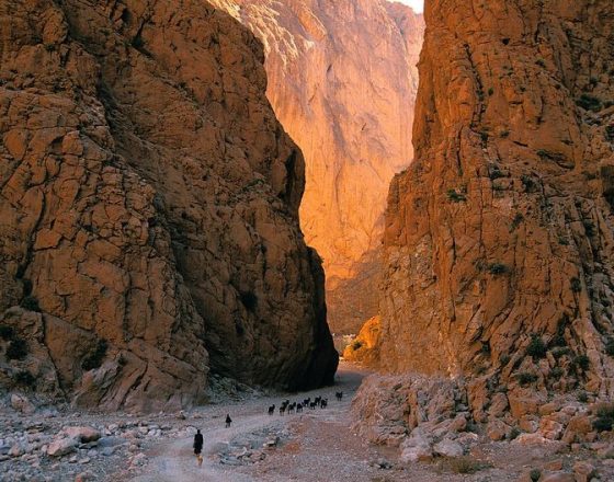 Todra Gorge in Morocco