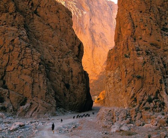 Todra Gorge in Morocco