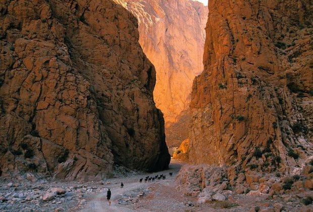 Todra Gorge in Morocco