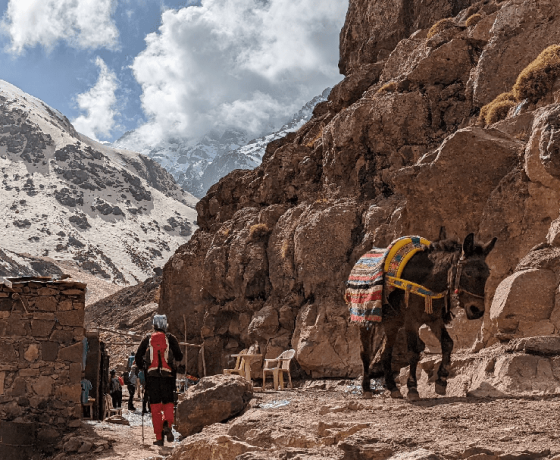 Toubkal in the High Atlas, Morocco